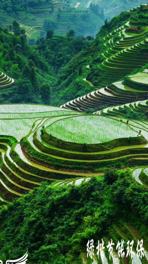 生態(tài)和環(huán)境規(guī)劃、可行性研究報(bào)告