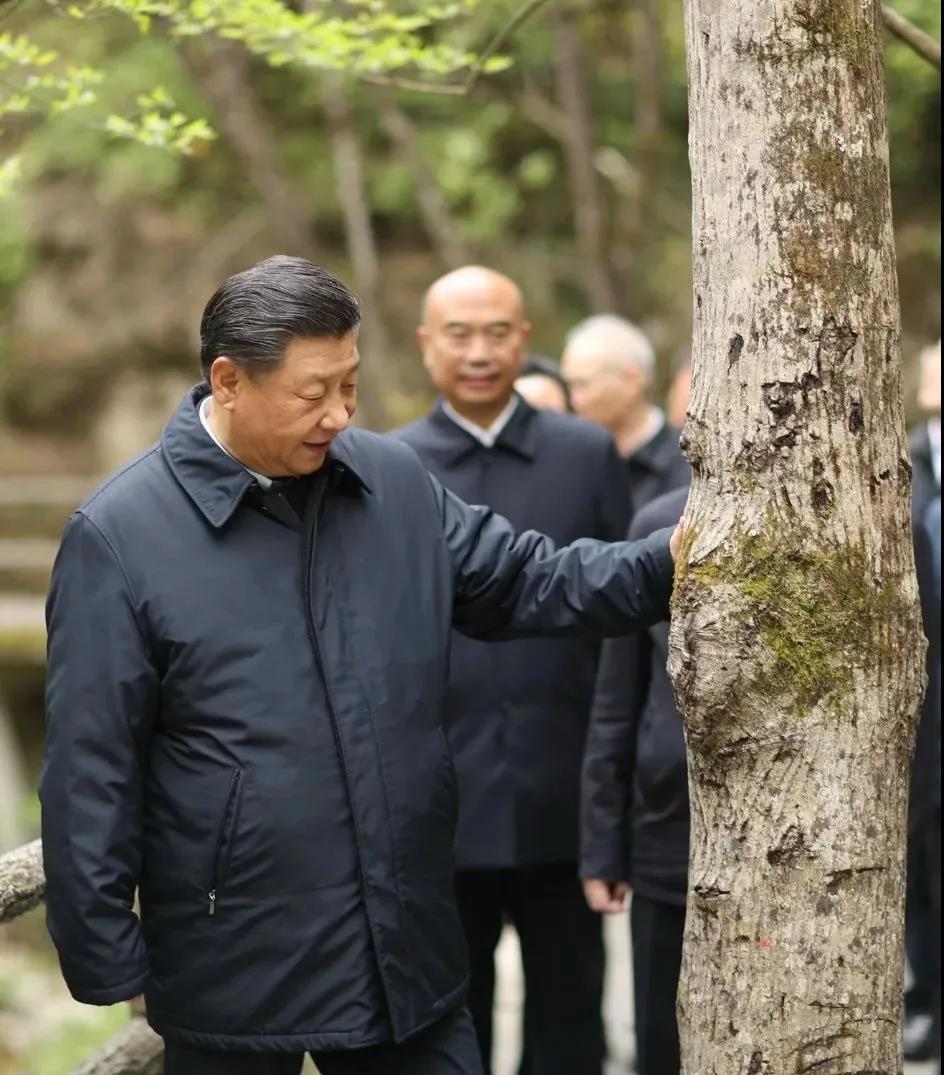 湖南綠楷節(jié)能環(huán)?？萍加邢薰?湖南土壤污染修復(fù),污水處理工程,農(nóng)業(yè)污染治理,環(huán)保工程