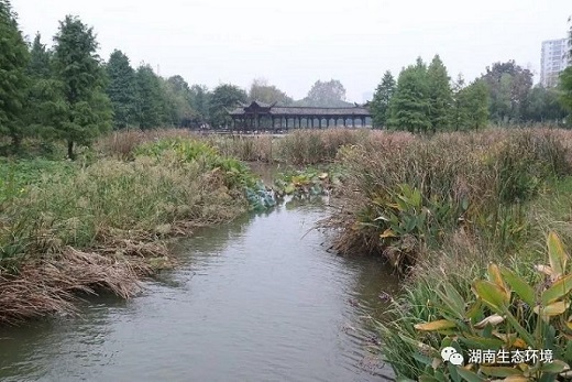 湖南綠楷節(jié)能環(huán)?？萍加邢薰?湖南土壤污染修復(fù),污水處理工程,農(nóng)業(yè)污染治理,環(huán)保工程
